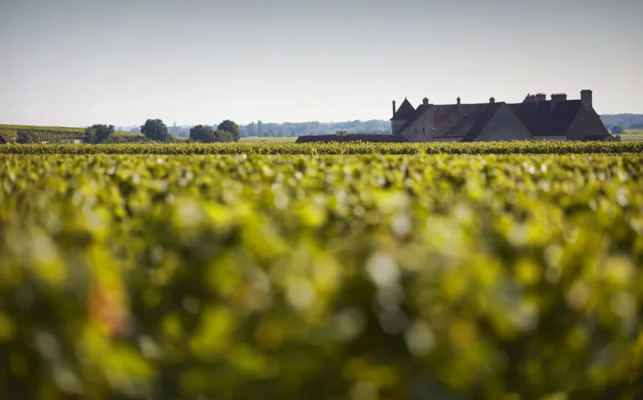  ©Château du Clos de Vougeot